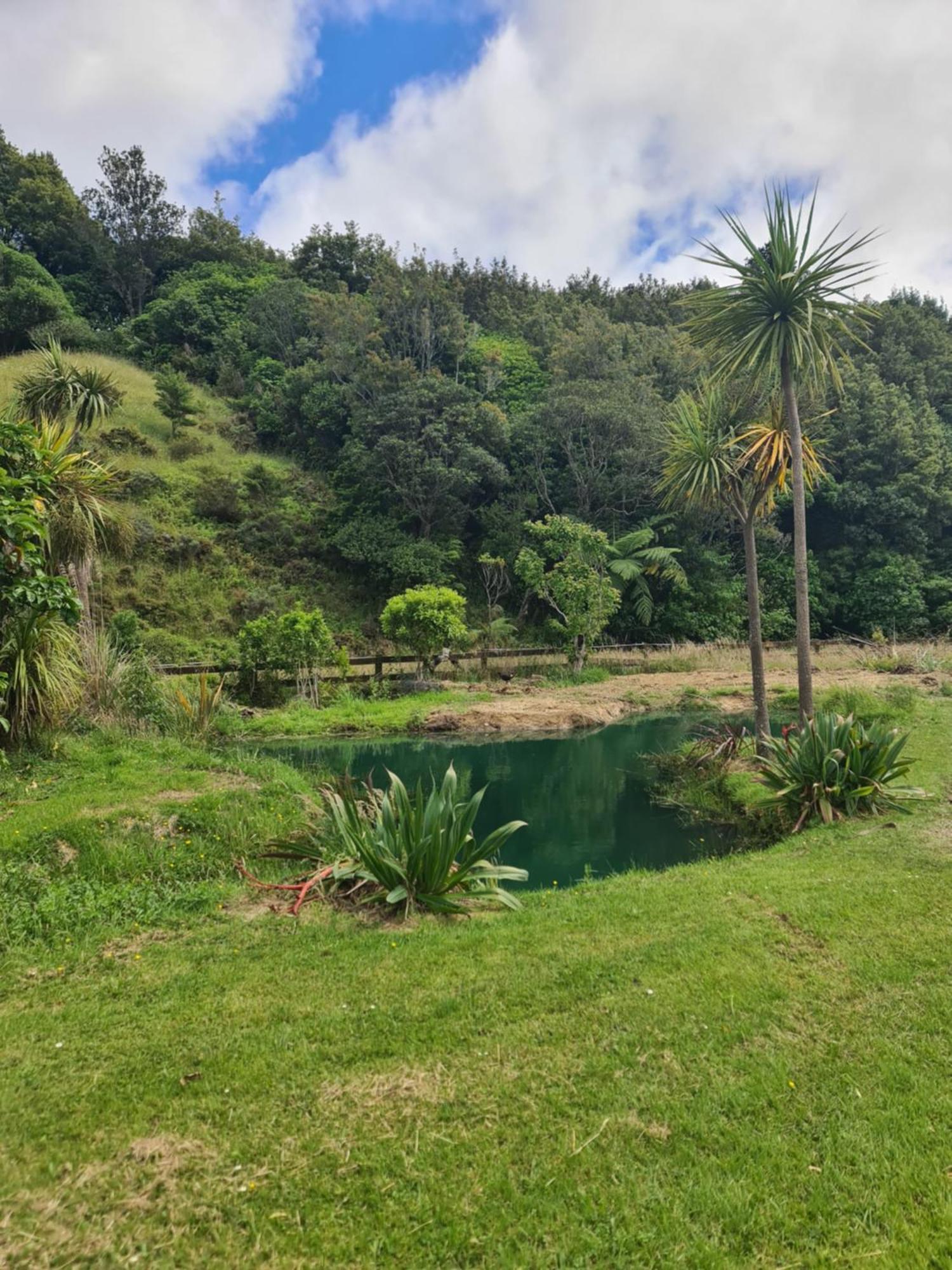 Tiny Home @ Matai Huka Paraparaumu Luaran gambar
