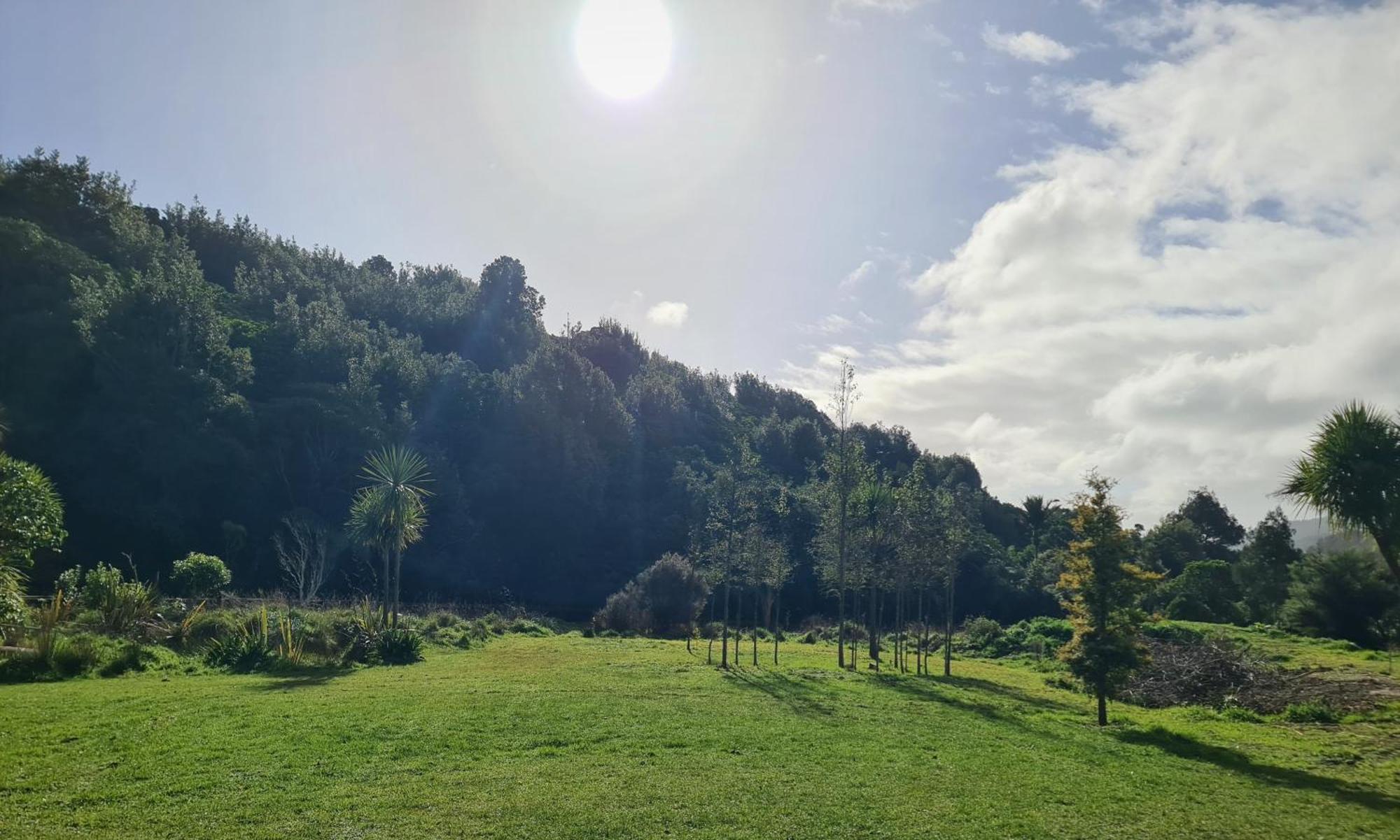 Tiny Home @ Matai Huka Paraparaumu Luaran gambar